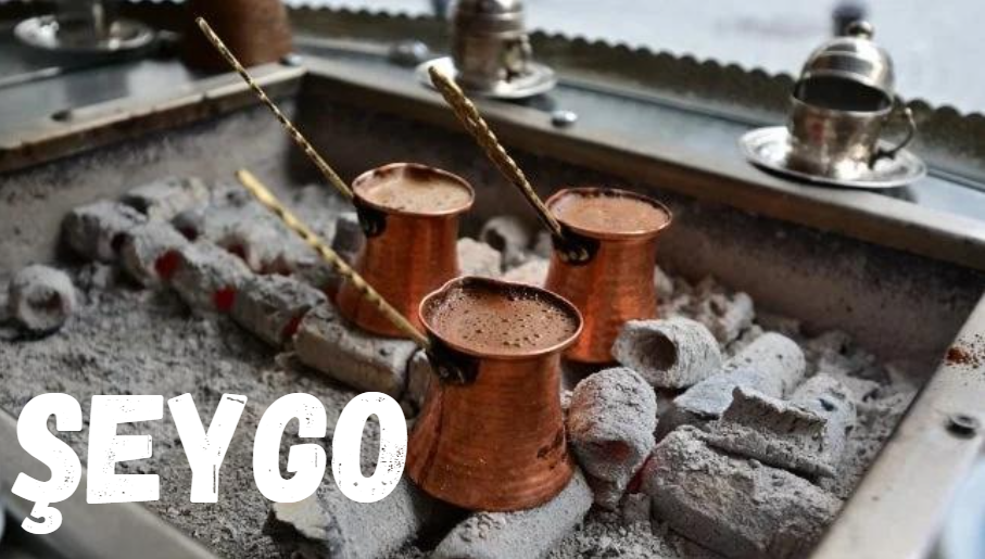 Şeygo: A Timeless Philosophy for Living in Harmony with the World