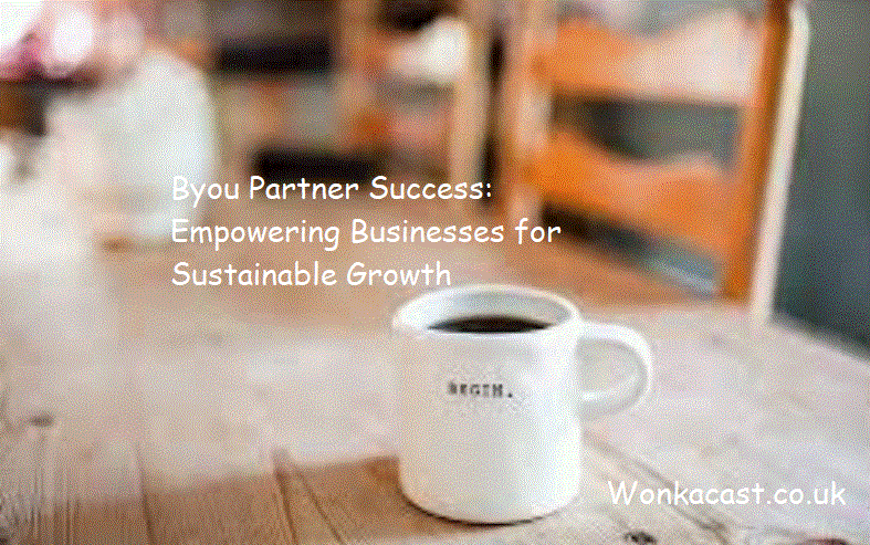 Byou Partner Success: Empowering Businesses for Sustainable Growth