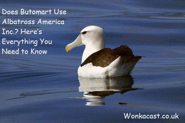 Does Butomart Use Albatross America Inc.? Here’s Everything You Need to Know